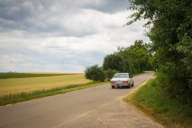 DSC07401